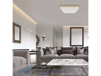 Lampa Sufitowa Eko-Light Plafon Nemo Gold 17W Led