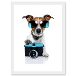 Funny Photo Jack Russell Dog Shades Camera Artwork Framed Wall Art Print A4