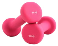 Shengluu Weights Dumbbells Sets Women Rubber Dumbbell Weights For Women And Men (Color : Pink, Size : 10KG)