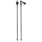HEAD Unisex Adult Frontside Black Green Ski Poles, Black/Green, 110 cm