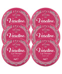 Vaseline Unisex Lip Therapy Petroleum Jelly, Rosy Lips, 6 Pack, 20g - NA - One Size