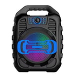 PQZATX Portable Speaker with Handheld Microphone Rechargeable with FM Radio Audio Recording Remote Control