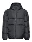 Essential Down Jacket Black Tommy Hilfiger