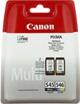 Canon PG-545 & CL-546 Black And Colour Ink jet Print Cartridges PG545 CL546