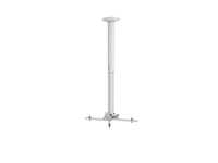 Kindermann Premium Ma 100, Tak, 30 Kg, Vit, Aluminium, Skena, 600 - 1000 Mm