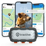 Tractive DOG XL Aventure Collier GPS chien, moniteur de santé | Gris | Neuf