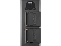 Newell Kameraladdare Newell Dl-Usb-C Dubbelkanalsladdare För Np-F550/770/970-Batterier