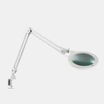 Daylight LED Magnifying Lamp XL DN1300 - 7" Dimmable Magnifier Lens