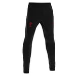 Macron welsh rugby 2021/22 training fitted track pant