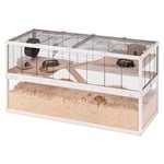 Ferplast Cage Hamster DOMSTER, Cage Souris, 3 Niveaux, avec Accessoires, Plateformes et Échelles, Grillage Métallique et Bois FSC, Base Transparente, Cage pour Hamster en Bois, 120 x 50 x h 66,5 cm