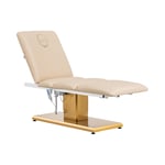 physa Behandlingsbänk - elektrisk 3 motorer 300 W 190 x 65 60 76 cm 200 kg Beige / guld