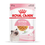 Royal Canin Kitten i gelé - 12 x 85 g