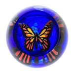 Caithness Glass Paperweight, Multi-Colour, One Size