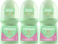Mitchum Advanced Women Anti-Perspirant & Deodorant Roll-On Powder Fresh 50ml x 3