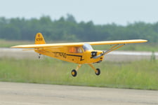Black Horse Piper Cub 1950mm GP/EP ARTF (Uppdaterad)