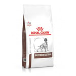 Royal Canin Gastrointestinal Dog 2 kg