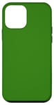 Coque pour iPhone 12 mini Vert trèfle