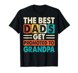 Dad Hero Funny Father's Day Graphic Novelty T-Shirt