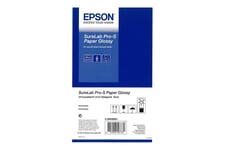Epson SureLab Pro-S Paper Glossy - papper - blank - 2 rulle (rullar) - Rulle (12,7 cm x 65 m) - 254 g/m²