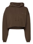 Pro Cropped Sweat Hoodie Tops Sweat-shirts & Hoodies Hoodies Brown H2O Fagerholt