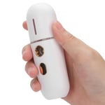 USB Charging Face Mist Sprayer Moisturizing Portable Face Humidifier Nano UK GDS