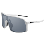 Multi-Sport Sunglasses Elite Sport 25, sportglasögon