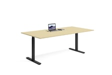Wulff Hev senk skrivebord 200x100cm 670-1170 mm (slaglengde 500 mm) Färg på stativ: Svart - bordsskiva: Bjørk