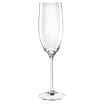 Chef & Sommelier Cabernet Tulip Champagne Flutes 240ml (Pack of 24) Pack of 24