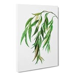 Weeping Willow Tree Branch By Pierre Joseph Redoute Vintage Canvas Wall Art Print Ready to Hang, Framed Picture for Living Room Bedroom Home Office Décor, 24x16 Inch (60x40 cm)