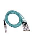 Breakout - network cable - 5 m