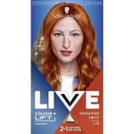 Schwarzkopf LIVE Colour + Lift Long-Lasting Permanent Copper Hair Dye Lighten...