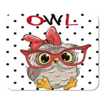 Mousepad Computer Notepad Office Face Cute Cartoon Owl with Glasses on Dots Holding Animals Beak Birds Carnivore Home School Game Player Computer Worker Inch