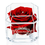 A 100% Real Rose That Lasts Years - Eternal Petals, Handmade in UK, Flowers Delivery Next Day Prime UK – White Gold Solo with A Clear Swarovski Crystal (Deep Red)