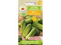 Toraf Vegetables Gurka Ares F1 Frö 5G