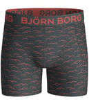 Björn Borg 1-Pack Boxerkalsong Junior Black