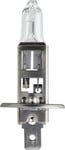 Glödlampa H1 70W 24 V 1-pack - BMW - E39. Nissan - Cabstar
