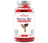 Biotin Gummies Large Pack 150 x 5000mcg Natural Strawberry - Vegan - Hair - Skin