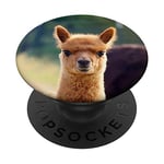 Cute Baby Llama Pop Mount Socket PopSockets Swappable PopGrip