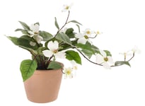 Clas Ohlson Plastblomma i kruka, sommarväxt med vita blommor