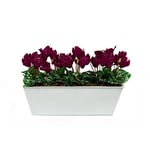 GreenBrokers Limited Coffret Artificielle Violet Cyclamen Jardinière, Blanc Tin bac à Nourriture Pot de Fleurs 45 cm