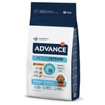 Advance Medium Puppy Protect - Ekonomipack: 2 x 12 kg