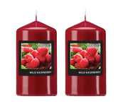 Made in Germany Premium Quality Scented Pillar Candles by Gala Candles (Pack of 2, Wild Raspberry)