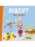 Albert laver ballade - Børnebog - hardback