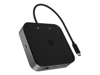 Icy Box 7-In-1 - Dockningsstation - Usb-C 3.2 Gen 2 / Thunderbolt 3 / Thunderbolt 4 - Hdmi, Dp - 1Gbe