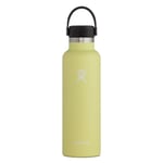 Hydro Flask 21 oz Standard Mouth - Gourde isotherme 621 mL Pineapple 21 oz (621 ml)