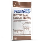 Forza 10 Active Line Intestinal Colon Phase 2 - 2 x 4 kg