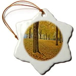 3dRose USA, Oregon, Portland, American Linden Trees in Fall Snowflake Ornament, Porcelain, Multi-Colour, 3-Inch