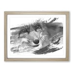 Red Fox Vol.5 V1 Modern Framed Wall Art Print, Ready to Hang Picture for Living Room Bedroom Home Office Décor, Oak A2 (64 x 46 cm)