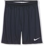 Nike Squad 17 Kids Training Shorts, Multicolor (Obsidian / White), XS