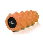 Triggerpoint Grid Foam Roller,MMP Ultra Lightweight Core Muscle Roller,Ideal for Balance Exercises Physical Therapy and Pain Relief